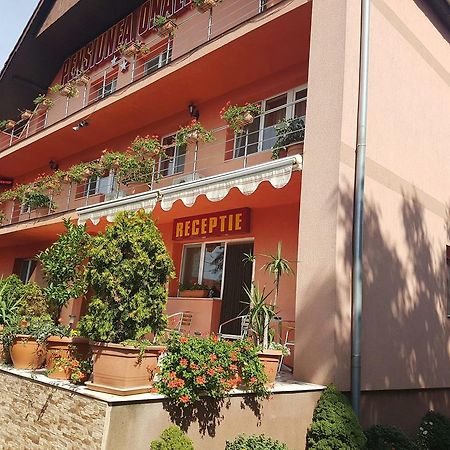 Hotel Onalisa Arad Exterior foto